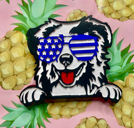 American dog freshie